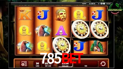 Descubra o Mundo do Cassino Online com 785bet